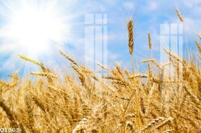 File in trần File gốc in tranh tổng hợp Q1005 (file gốc) phong thủy