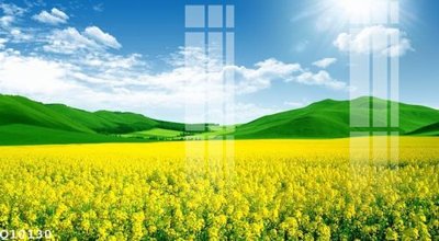 File in trần File gốc in tranh tổng hợp Q10130 (file gốc) hoa văn 3D