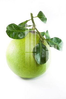 Tải file gốc File gốc in tranh tổng hợp Q1017 (bản PSD) còn layer