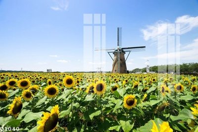 File PSD File gốc in tranh tổng hợp Q1040 (bản gốc) cho nhà in