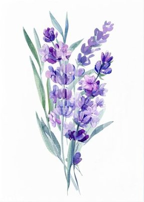 Tải file File gốc in tranh tổng hợp Q10456 (gốc) làm file thiết kế