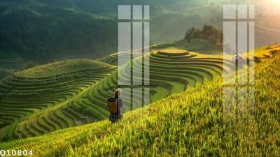 Tải file File gốc in tranh tổng hợp Q10804 (gốc) in ấn ngay lập tức