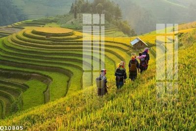 File in ấn File gốc in tranh tổng hợp Q10805 (bản gốc) từ file gốc