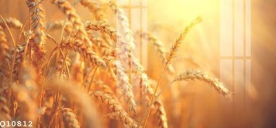 File ảnh File gốc in tranh tổng hợp Q10812 (gốc) in biển hiệu