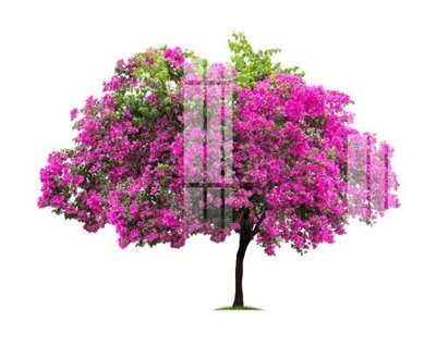 File tranh File gốc in tranh tổng hợp Q10816 (ảnh gốc) sắc nét hoàn hảo