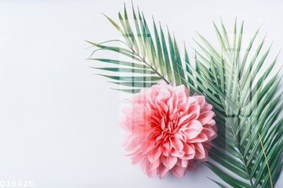 Tệp tin gốc File gốc in tranh tổng hợp Q10825 (chất lượng) File gốc in tranh tổng hợp Q10825