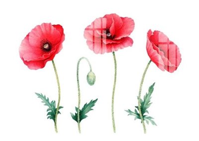 File tranh File gốc in tranh tổng hợp Q10832 (ảnh gốc) in trần 3D