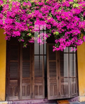 File gốc in mica File gốc in tranh tổng hợp Q10855 chất lượng