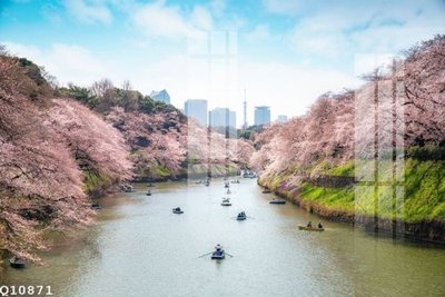 File gốc File gốc in tranh tổng hợp Q10871 (PNG) trong suốt (transparent)