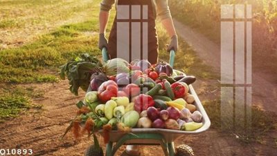 Tải về file gốc File gốc in tranh tổng hợp Q10893 (chuẩn in ấn)