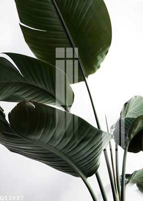 File gốc File gốc in tranh tổng hợp Q11037 (phong cách) cổ điển