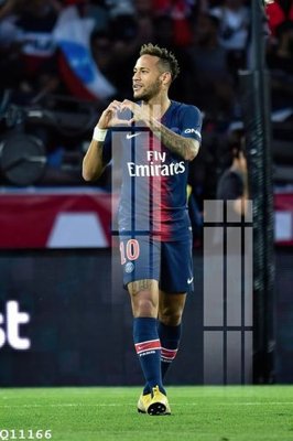 Tải file File gốc in tranh tổng hợp Q11166 (gốc) chủ đề hoa sen