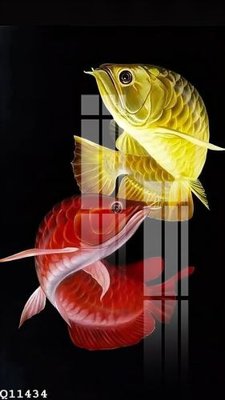 File PSD File gốc in tranh tổng hợp Q11434 (nguyên bản) cho thiết kế