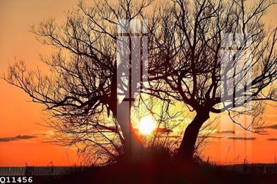 Tải file File gốc in tranh tổng hợp Q11456 (ảnh gốc) in gạch 3D