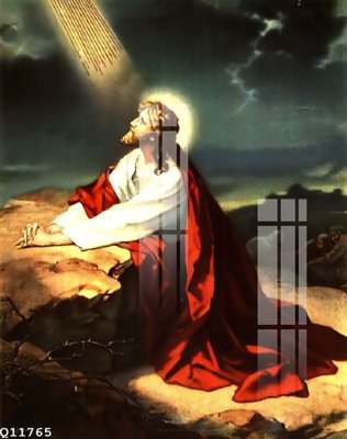 File tranh File gốc in tranh tổng hợp Q11765 (ảnh gốc) cho in ấn kỹ thuật số