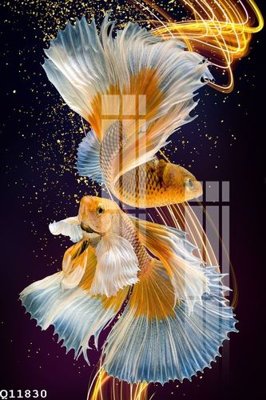 File in trần File gốc in tranh tổng hợp Q11830 (bản gốc) bầu trời