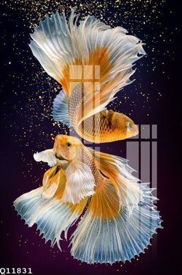 Tải file tranh File gốc in tranh tổng hợp Q11831 (ảnh gốc) ngay