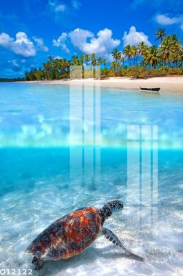 Hình ảnh file gốc in trần nhà File gốc in tranh tổng hợp Q12122