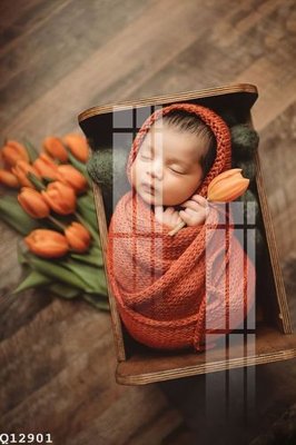 File gốc File gốc in tranh tổng hợp Q12901 (vector) cho in ấn