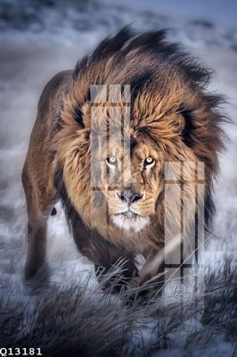 Tải file File gốc in tranh tổng hợp Q13181 (gốc) làm file thiết kế