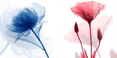 File tranh File gốc in tranh tổng hợp Q13302 (bản gốc) in lụa dán tường