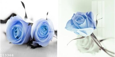 Tải về file tranh gốc File gốc in tranh tổng hợp Q13366 (để in quảng cáo)