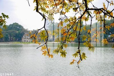 File gốc File gốc in tranh tổng hợp Q13443 (in mica) cắt laser