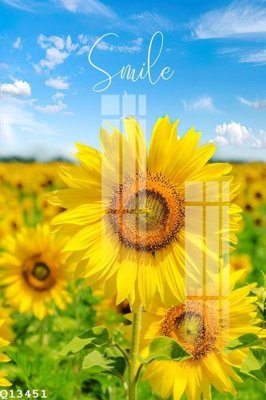 Download file File gốc in tranh tổng hợp Q13451 (chất lượng in ấn)