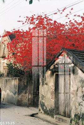 File PSD File gốc in tranh tổng hợp Q13525 (gốc) nhiều lớp (multi-layer)