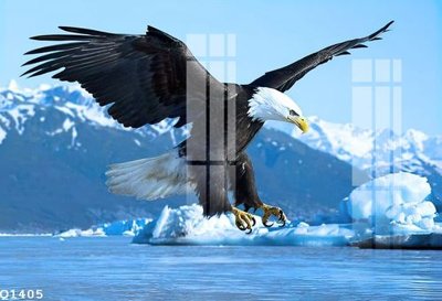 Download file tranh PSD File gốc in tranh tổng hợp Q1405 để chỉnh sửa