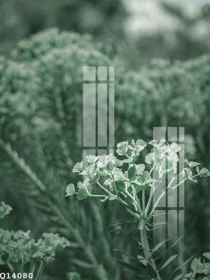 File gốc File gốc in tranh tổng hợp Q14080 (trang trí) phòng trẻ em