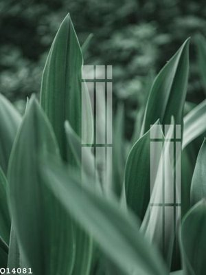 File tranh gốc File gốc in tranh tổng hợp Q14081 (sắc nét từng chi tiết)