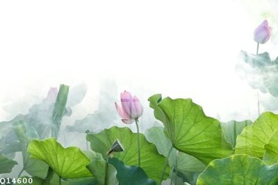 Tải file File gốc in tranh tổng hợp Q14600 (gốc) in ấn ngay lập tức