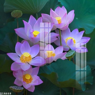 File tranh in trần File gốc in tranh tổng hợp Q14668 (ảnh gốc siêu nét)