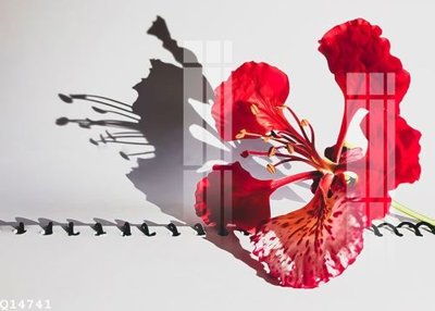 File in trần File gốc in tranh tổng hợp Q14741 (file gốc) hoa văn 3D