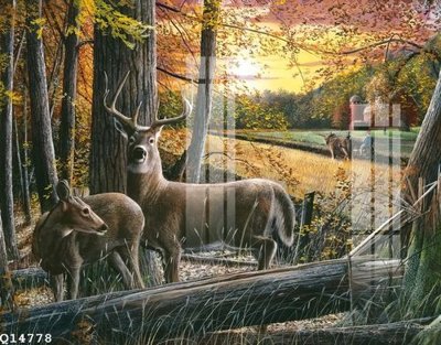 File gốc File gốc in tranh tổng hợp Q14778 (PSD/TIFF) độ phân giải cao