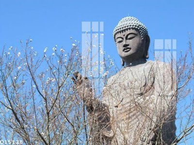 File in mica File gốc in tranh tổng hợp Q15128 (bản gốc) siêu trong