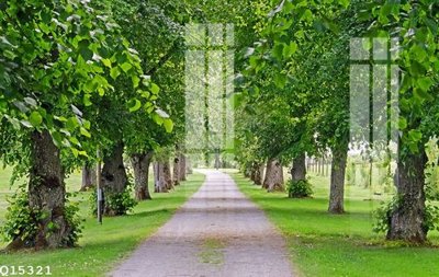 File tranh in mica File gốc in tranh tổng hợp Q15321 (độ phân giải cao)