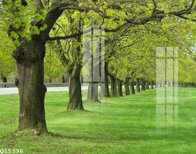 Tải file gốc File gốc in tranh tổng hợp Q15336 dùng cho in ấn