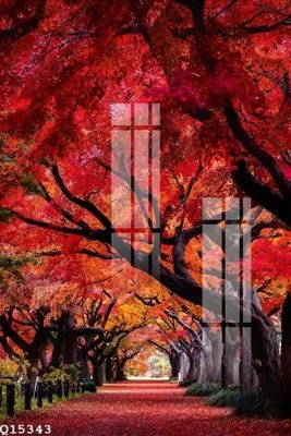 File gốc File gốc in tranh tổng hợp Q15343 (in lụa) hoa văn cổ điển