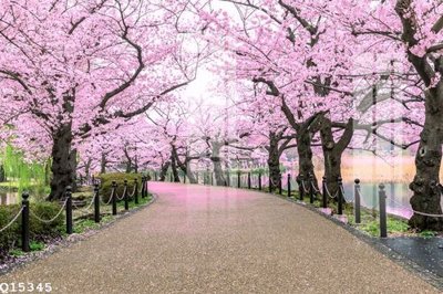 File tranh File gốc in tranh tổng hợp Q15345 (bản gốc) in lụa 3D