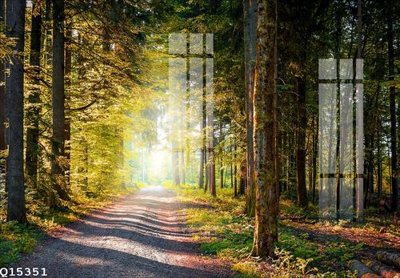 File tranh File gốc in tranh tổng hợp Q15351 (gốc) in vải canvas