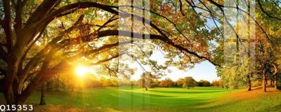 File in lụa File gốc in tranh tổng hợp Q15353 (phong cảnh) File gốc in tranh tổng hợp Q15353