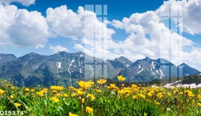 File PSD File gốc in tranh tổng hợp Q15374 (chất lượng in ấn)