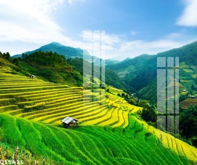 Tải file gốc File gốc in tranh tổng hợp Q15411 dùng cho in ấn