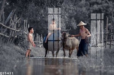 File gốc File gốc in tranh tổng hợp Q15421 (trang trí) phòng ngủ