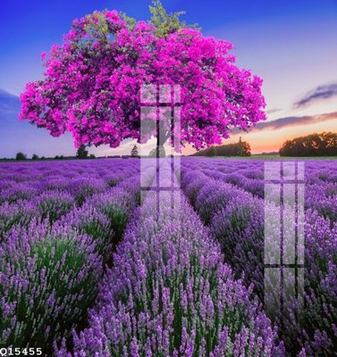 Tải file File gốc in tranh tổng hợp Q15455 (gốc) làm file in ấn