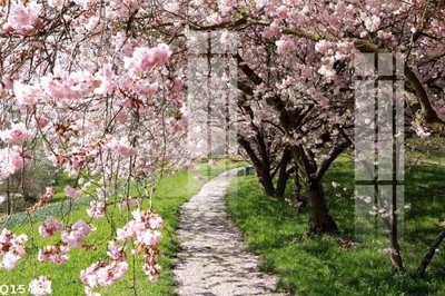 File PSD File gốc in tranh tổng hợp Q15464 (gốc) tách lớp chi tiết