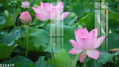 File tranh gốc File gốc in tranh tổng hợp Q15479 (bản đẹp) độc quyền