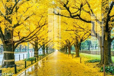 File tranh quảng cáo File gốc in tranh tổng hợp Q15500 (download file gốc)